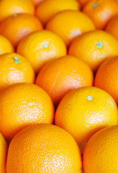 Similar image 1211524