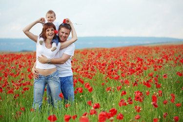 Similar image 1211646