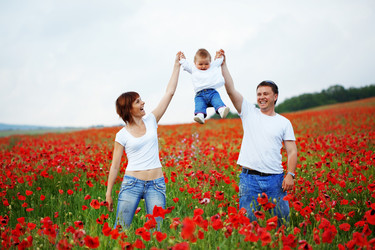 Similar image 1211647