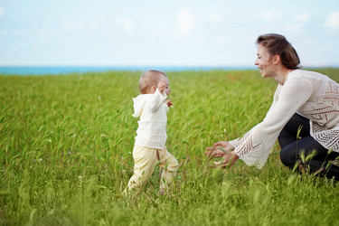 Similar image 1211649