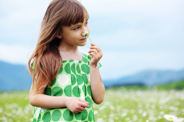 Similar image 1211650