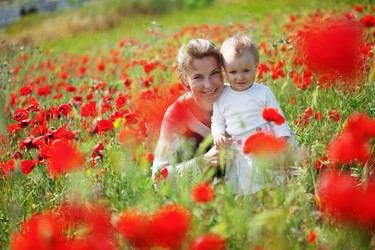 Similar image 1211656