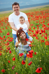 Similar image 1211658