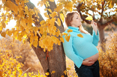 Similar image 1211695