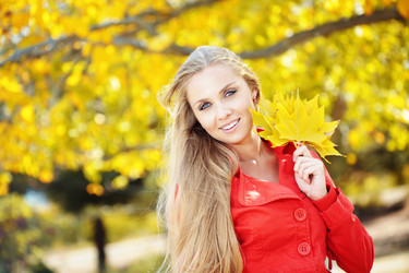 Similar image 1211720