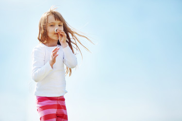 Similar image 1211733