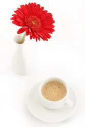 Similar image 1211737