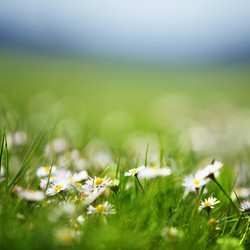 Similar image 1211753