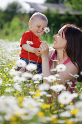 Similar image 1211760