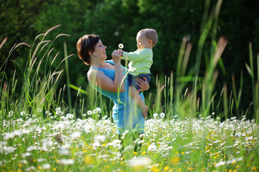 Similar image 1211761