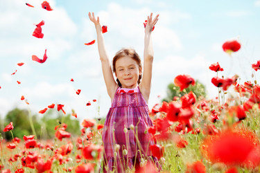 Similar image 1211769