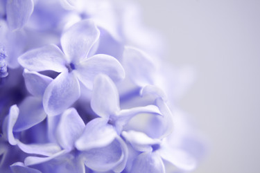 Similar image 1211782