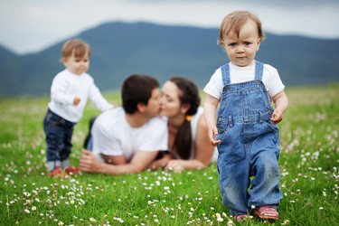 Similar image 1211835