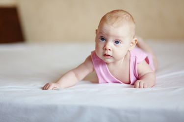 Similar image 1211847