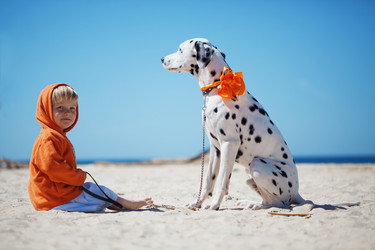 Similar image 1211874