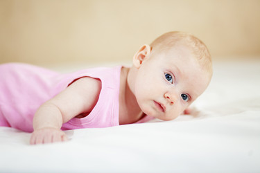 Similar image 1211885