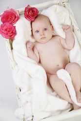 Similar image 1211904