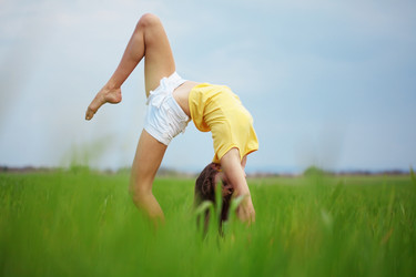 Similar image 1211931