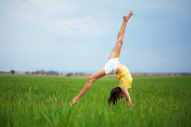 Similar image 1211935