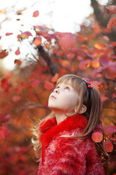 Similar image 1211988