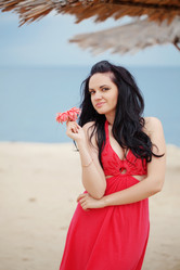 Similar image 1211995