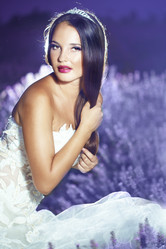 Similar image 1212009