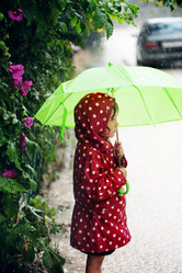 Similar image 1212033