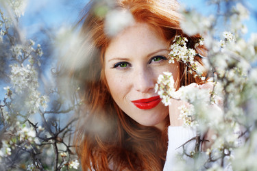 Similar image 1212062