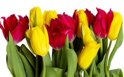 Similar image 1212433