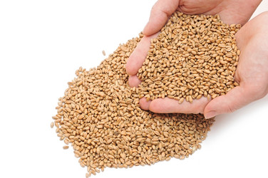 Similar image 1212519