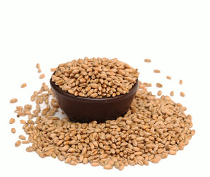 Similar image 1212520