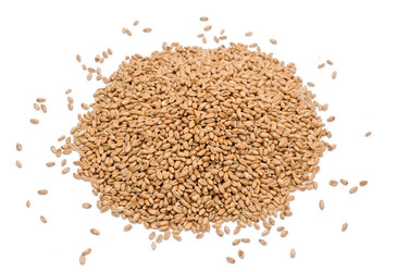 Similar image 1212522