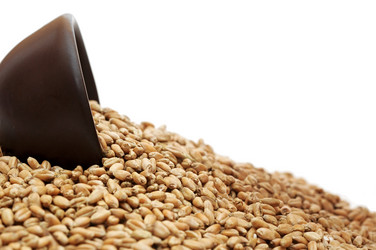 Similar image 1212523