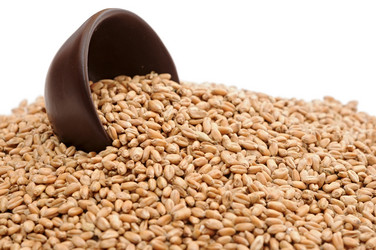 Similar image 1212524