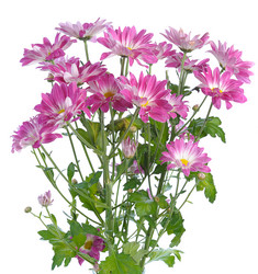 Similar image 1212550