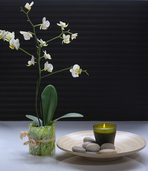 Similar image 1212553