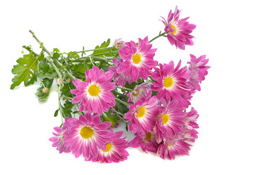 Similar image 1212557