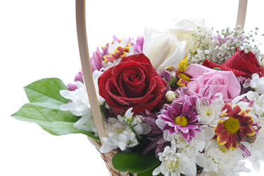 Similar image 1212558