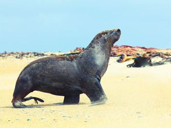 Similar image 1212620