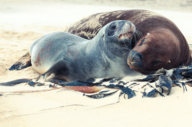 Similar image 1212621