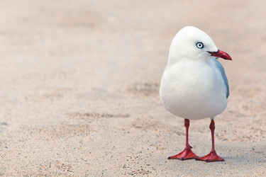 Similar image 1212622