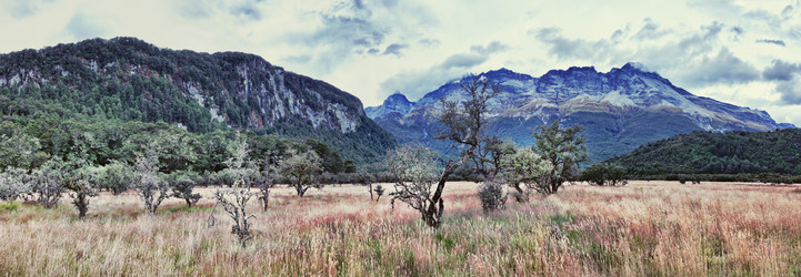 Similar image 1212660