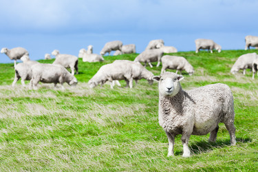 Similar image 1212706