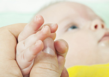 Similar image 1212727