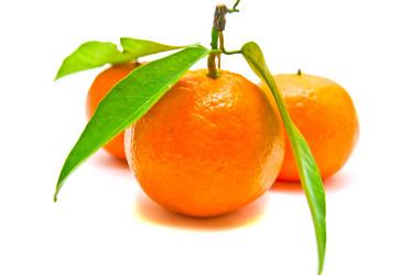 Similar image 1212756