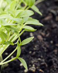 Similar image 1212821