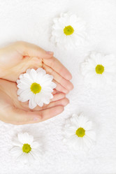 Similar image 1212924