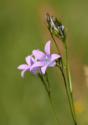 Similar image 1213026