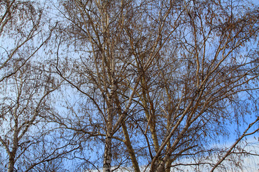 Similar image 1213211