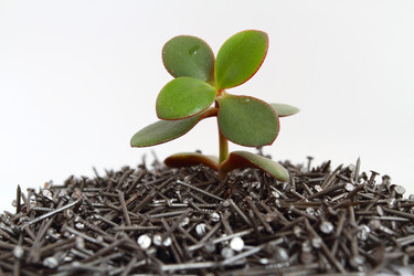 Similar image 1213214